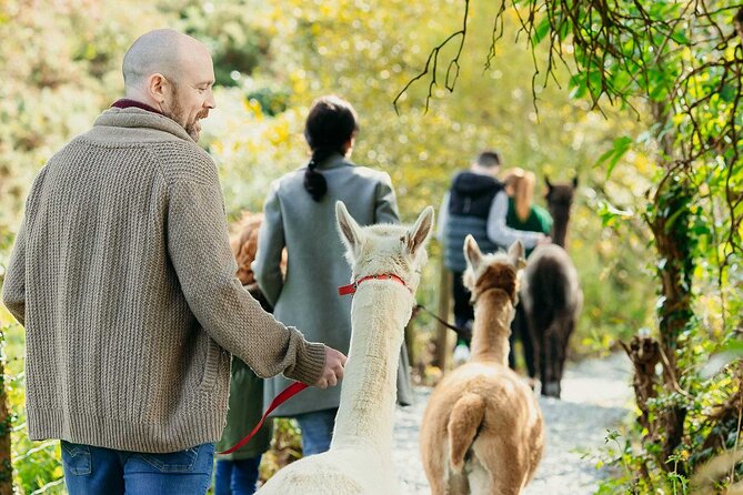 Randonnée accompagnée